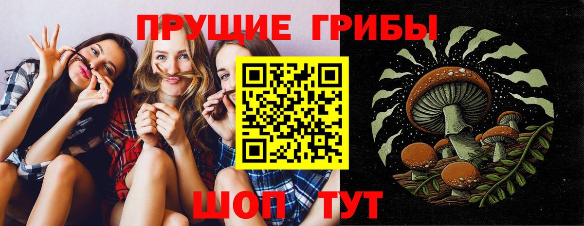 Галлюциногенные грибы GOLDEN TEACHER  Вход с VPN  Гусиноозёрск 
